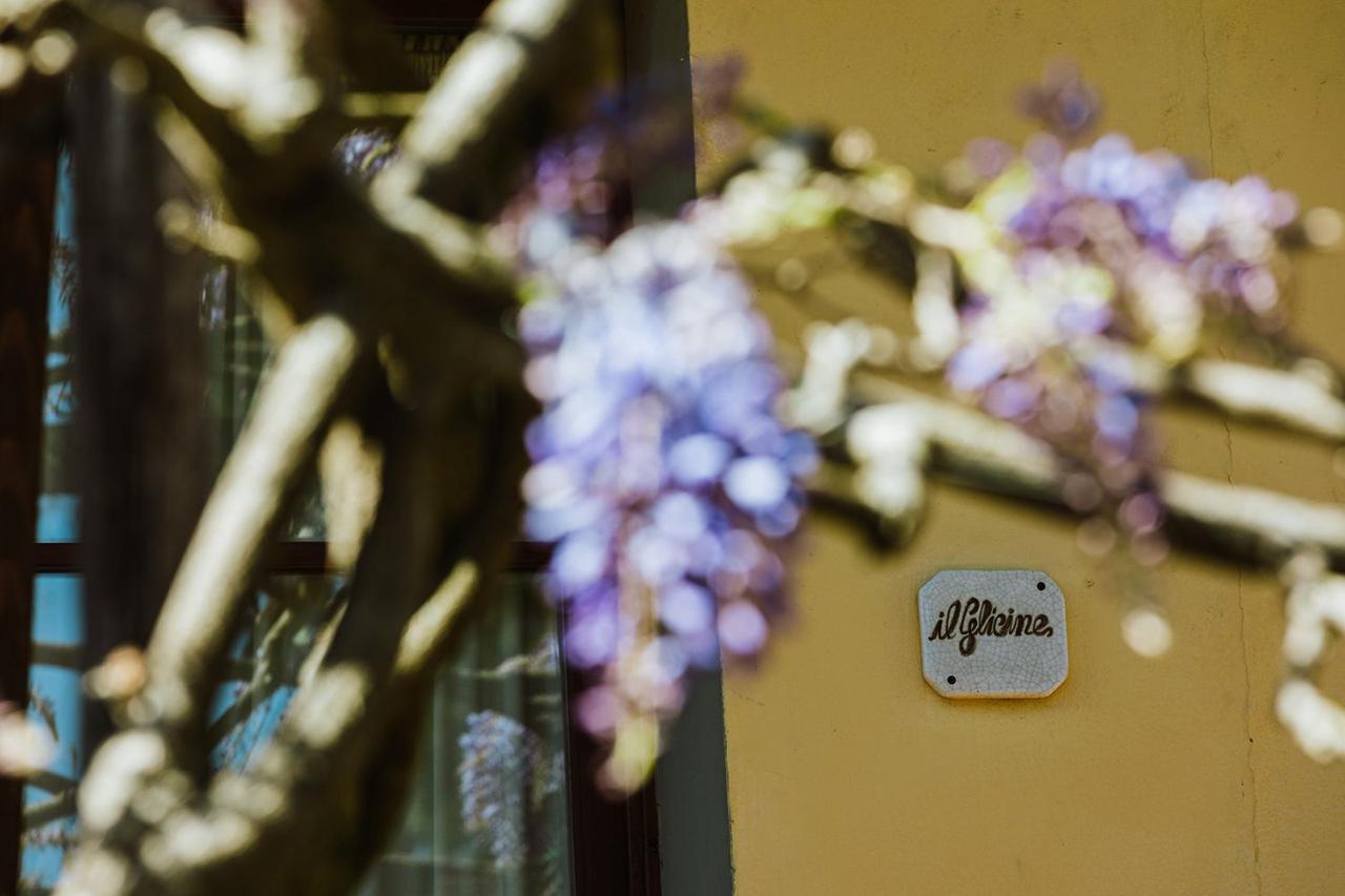 Agriturismo Montalbino Montespertoli Dış mekan fotoğraf